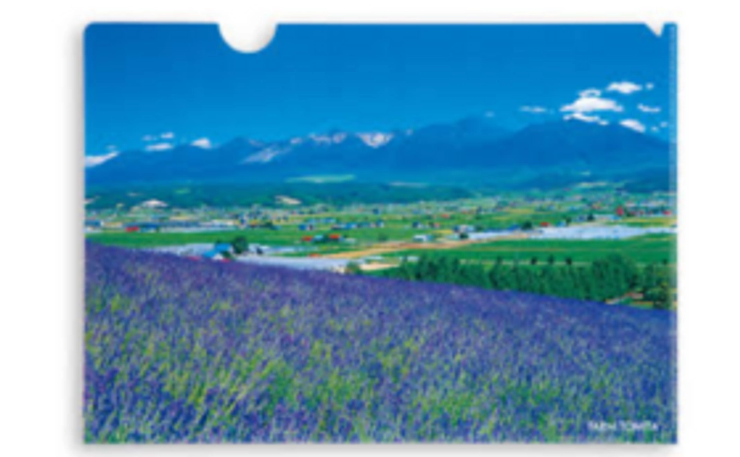 オリジナルファイル（A４）＋お礼状