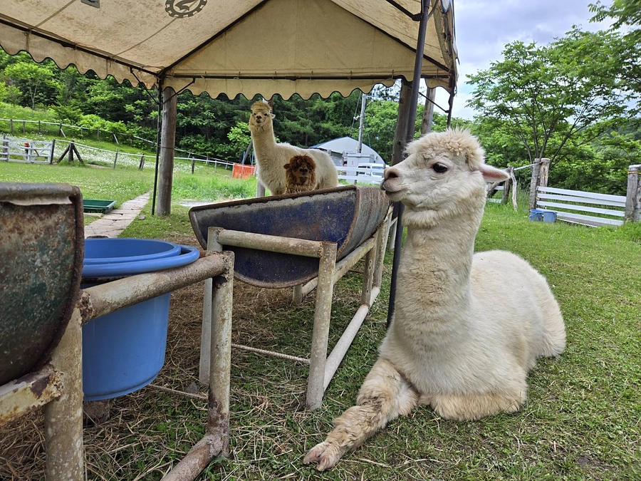 工事　16日目(３週目)とおしらせ