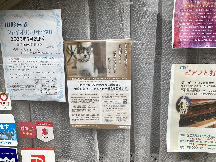 『珈琲ギャラリー ベアトリーチェ』さんにチラシを貼って頂いてます❣️