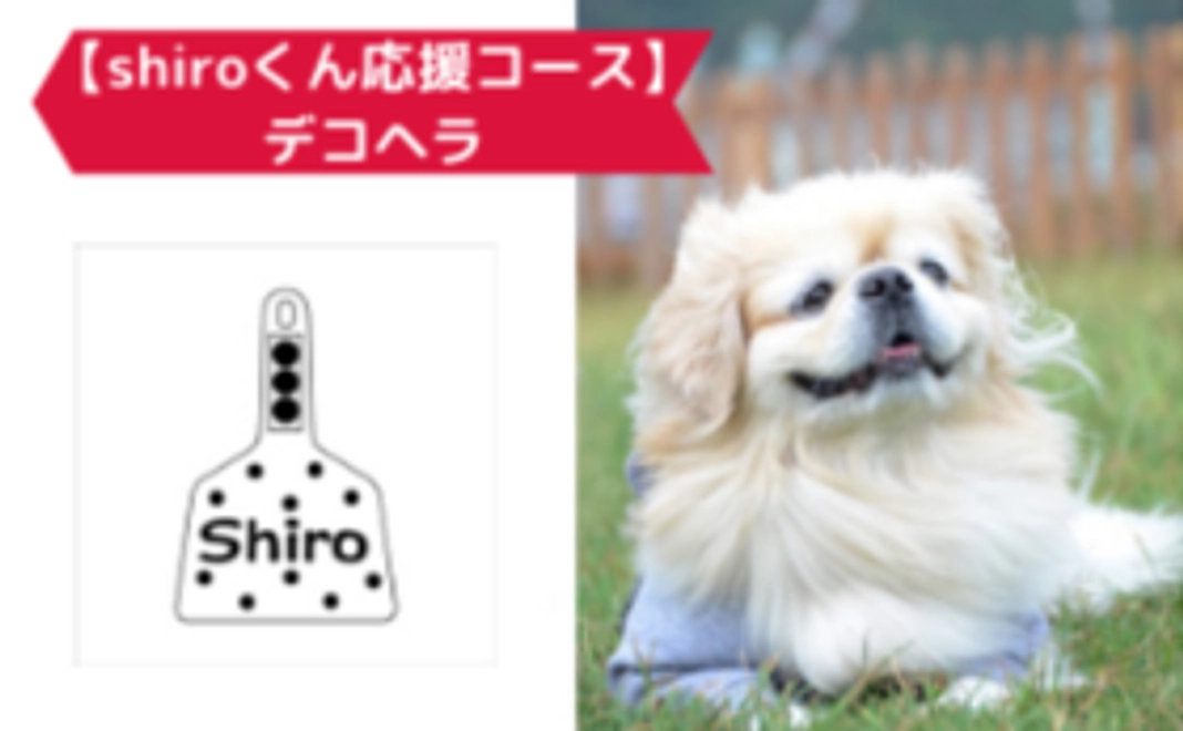 【shiroくん応援コース】デコヘラ