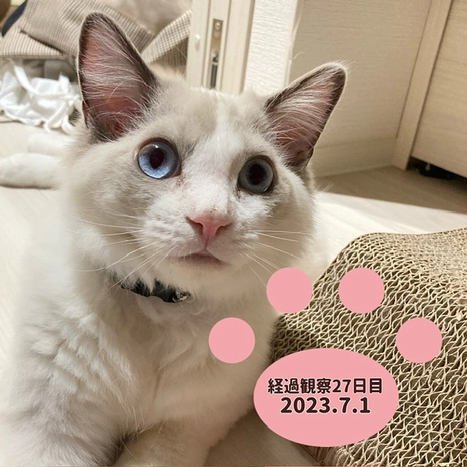 経過観察27日目(2023.7.1)