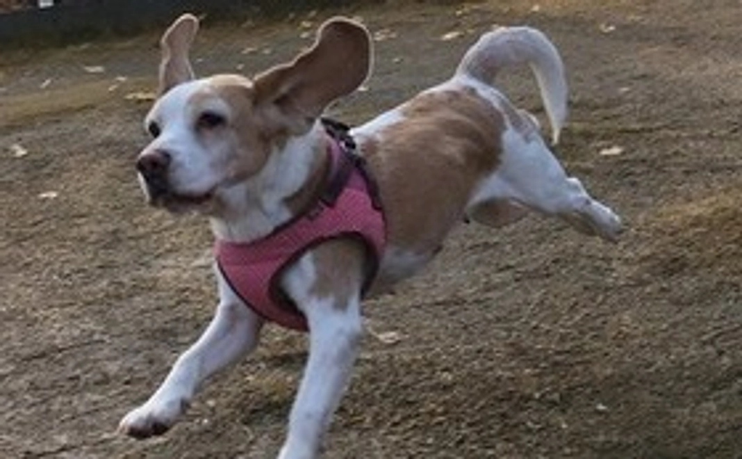 毎月20,000円で継続支援コース（法人・団体向け）【オフィシャルスポンサー24】