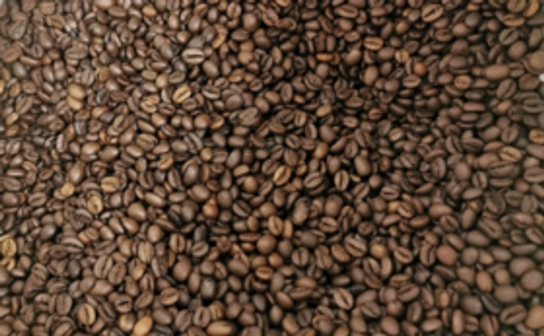 『Venustyle Hide&Seek』100g