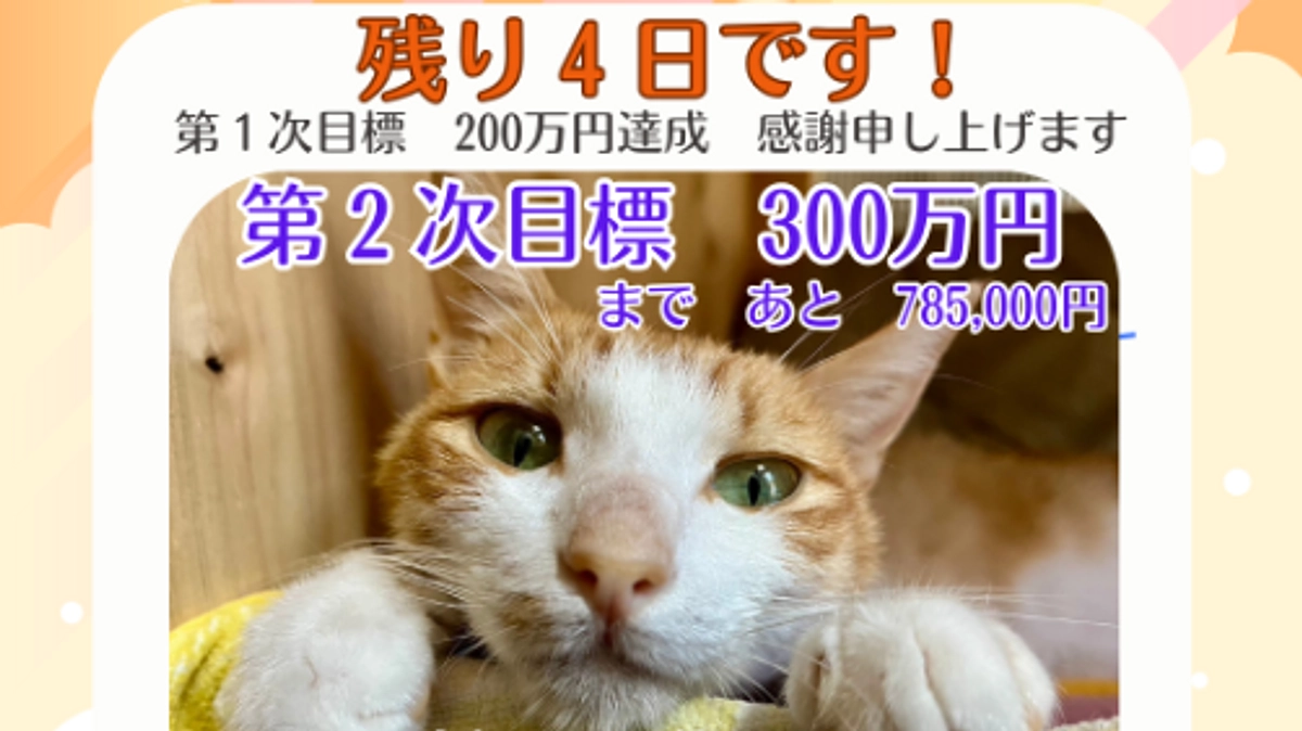 チャレンジ残り4日になりました！