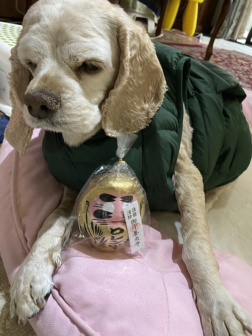 ４回目の抗がん剤治療行って来ました