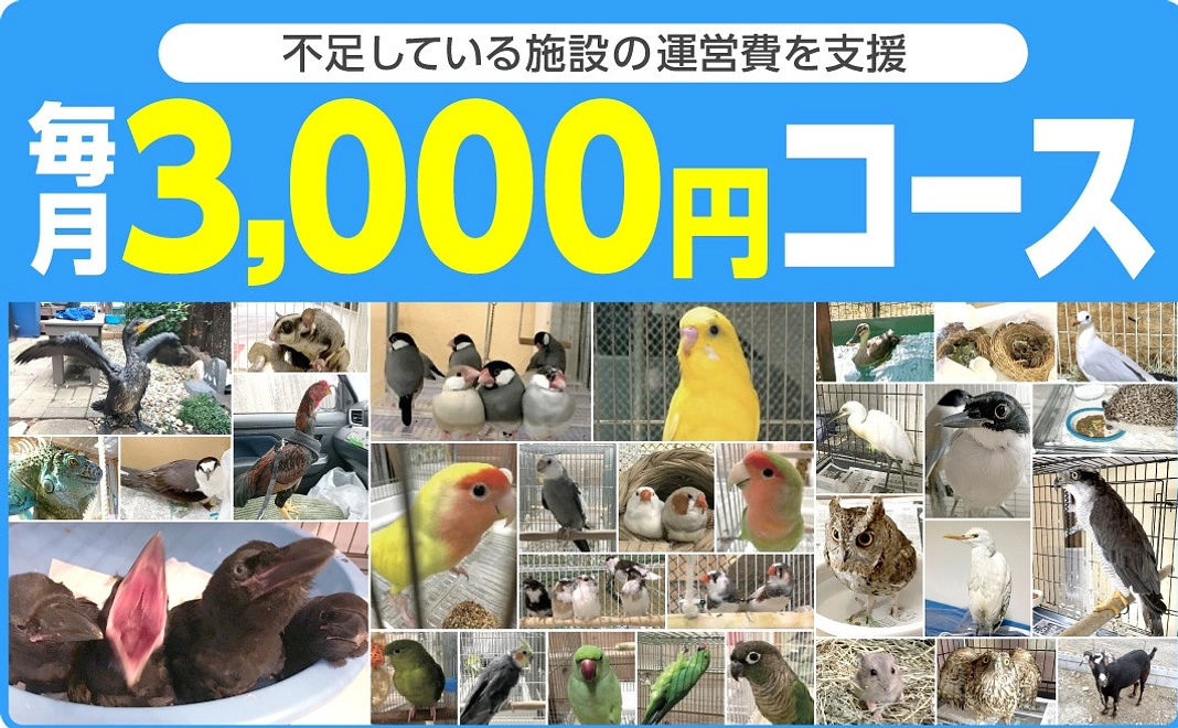 保護施設全体の運営費をご支援