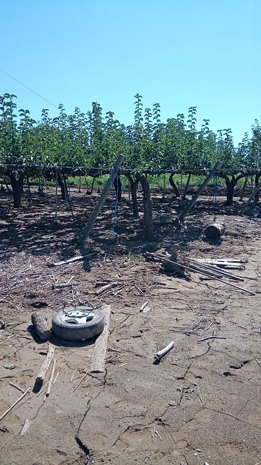 漂着物が沢山ありました