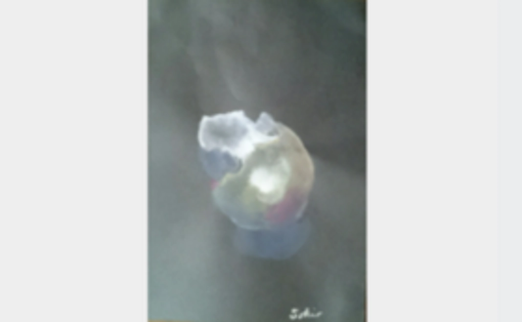 優美な死骸セットー菊ー