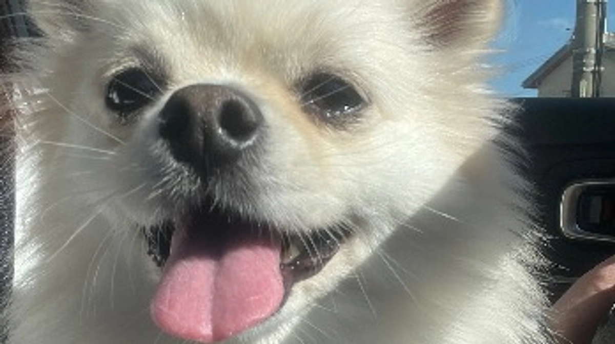 受診に行ってきました。