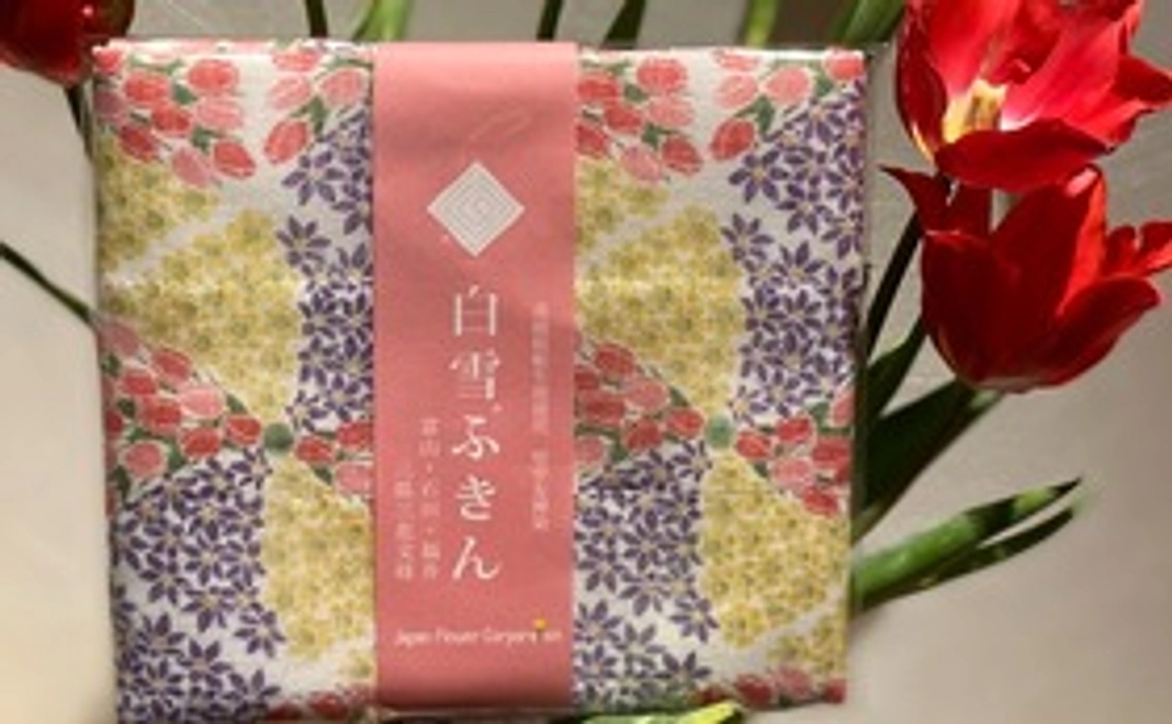 白雪ふきん&感謝のメールと動画