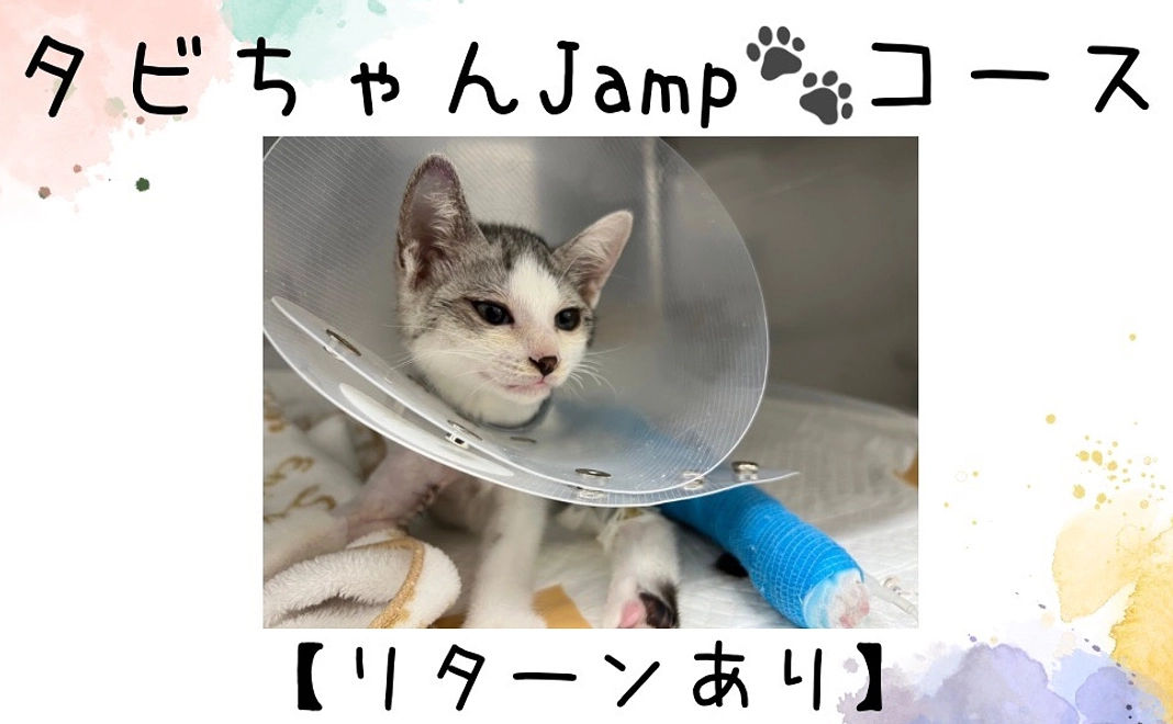 タビちゃんJumpコース 【リターンあり】