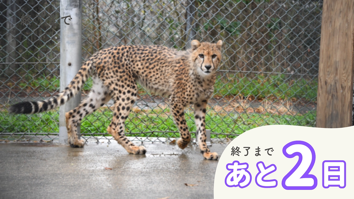 【終了まであと2日】応援・拡散のご協力をお願いします！