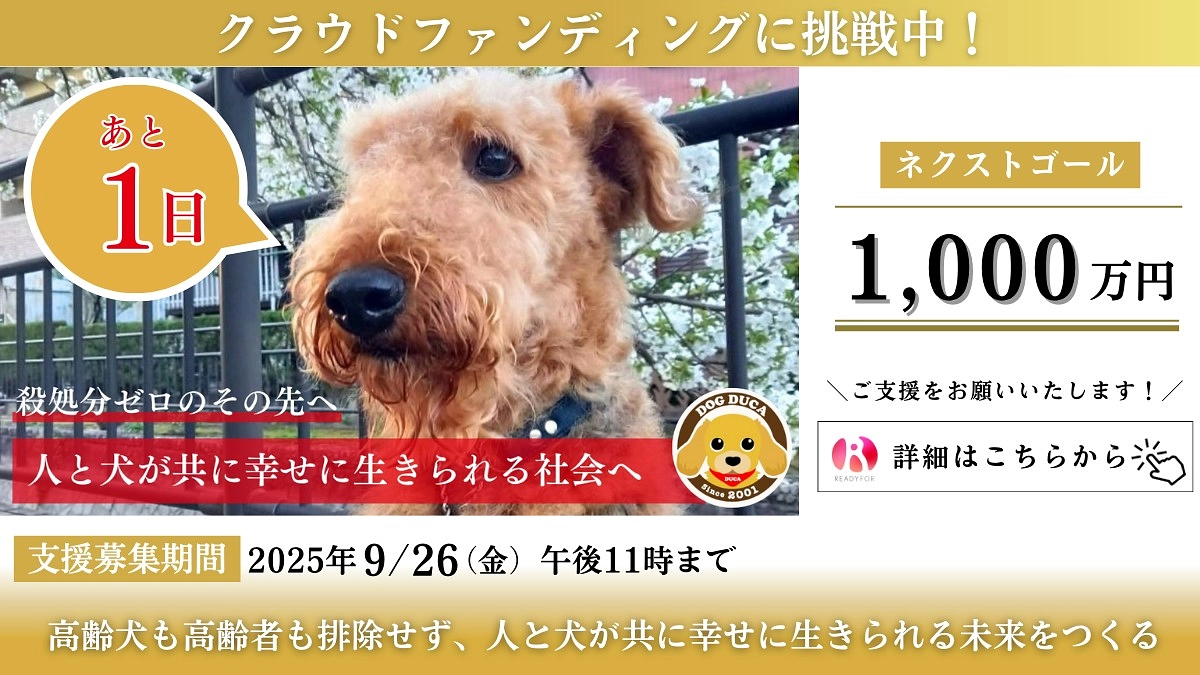 【明日最終日！】いただいたメッセージに、感謝の気持ちでいっぱいです。