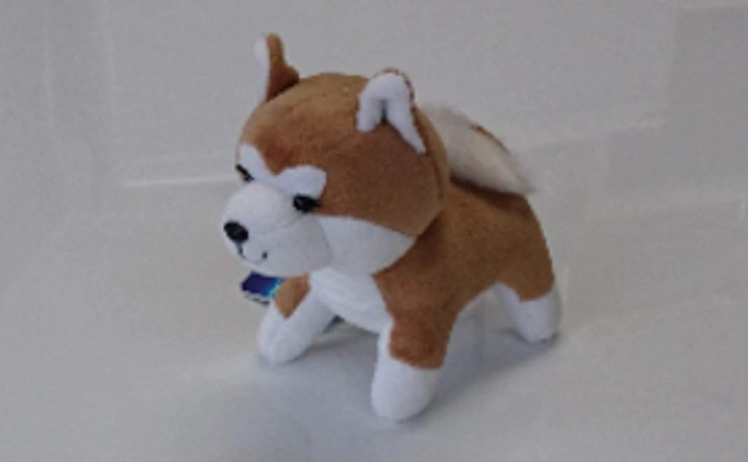 かわいい秋田犬のぬいぐるみ付き　応援コース