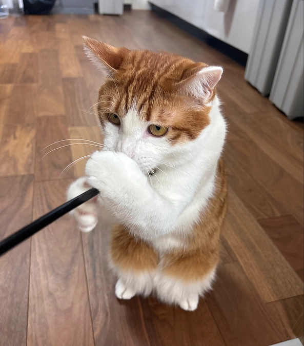 リターンについて