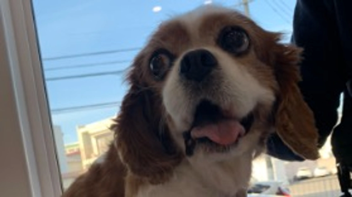 術後6日目です。ついに！✨✨