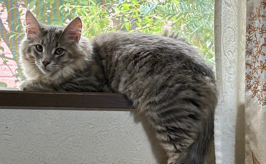 元気な姿をメールでお送りします。