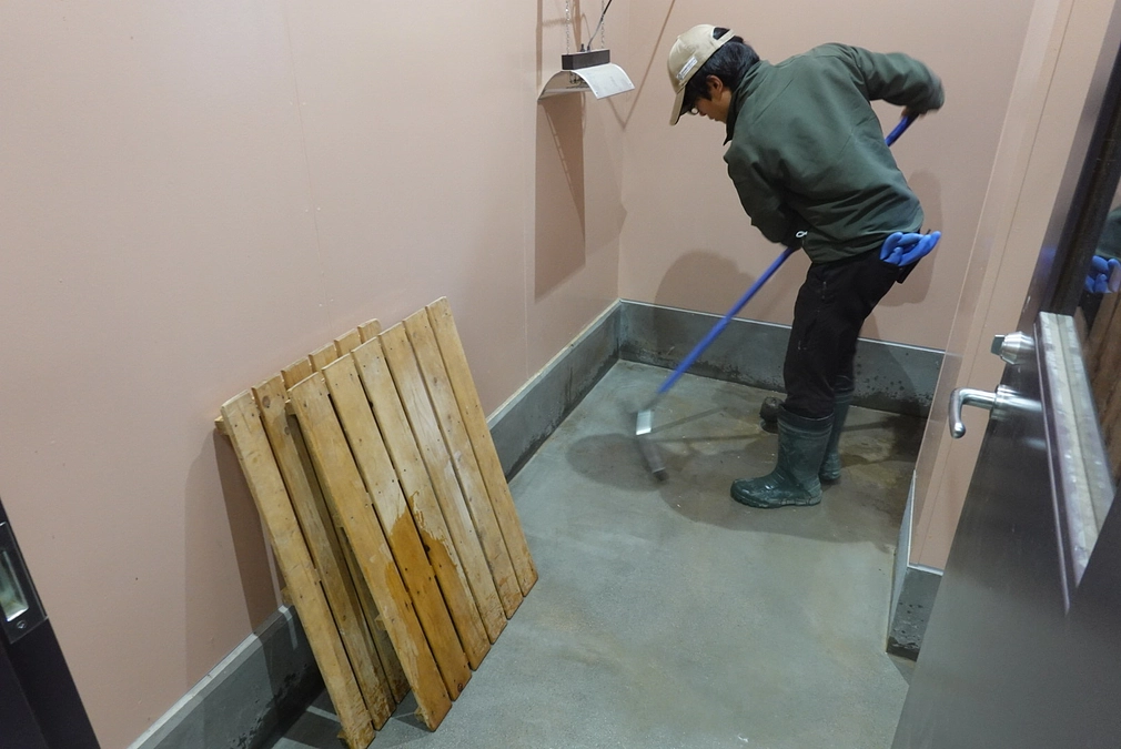 カラカルの飼育体験のリターンを追加しました！