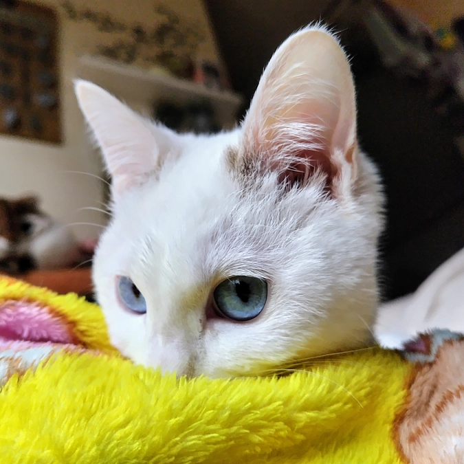 🎊クラウドファンディング無事に目標達成です🎊