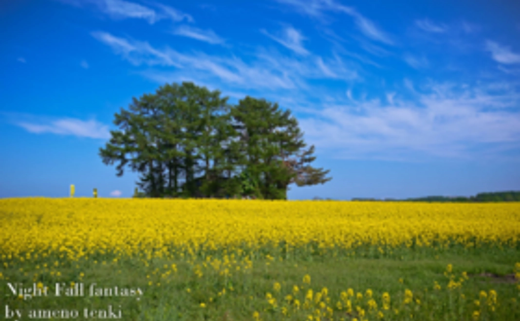 飴野天機より全力の御礼が届きます！！！！