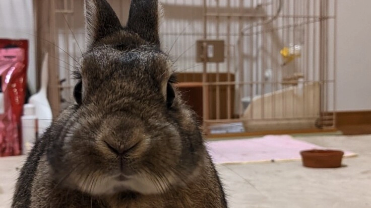 明日も生きたいです!! よろしくお願いします!  奇跡が!!