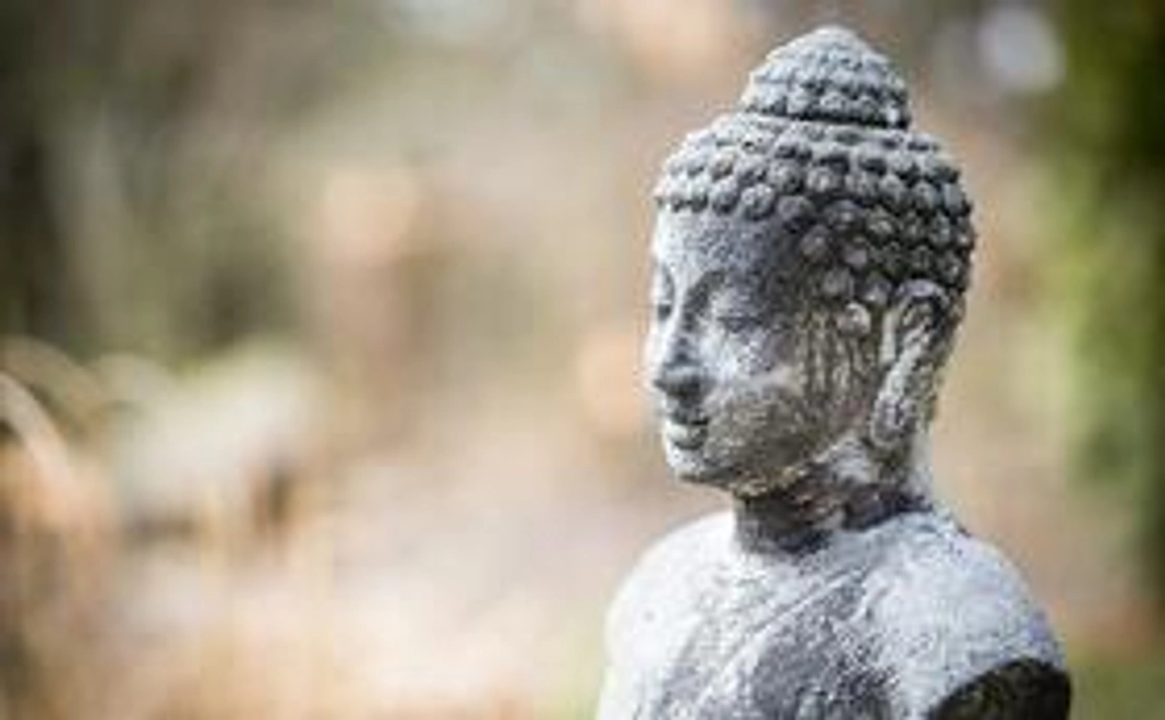 3000円　全額支援