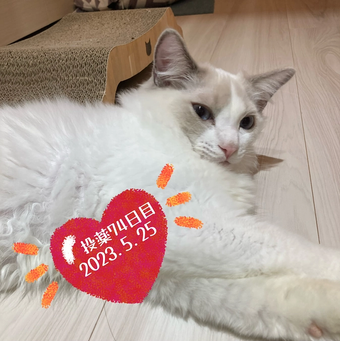 投薬７４日目(2023.5.25)&ご支援のお知らせ