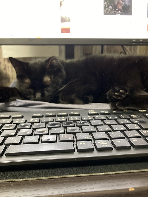 データ整理中！！