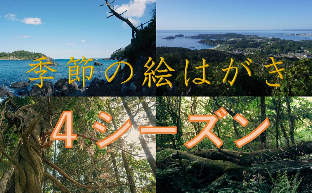 自然公園村の季節の絵はがきお礼のお便り送付
