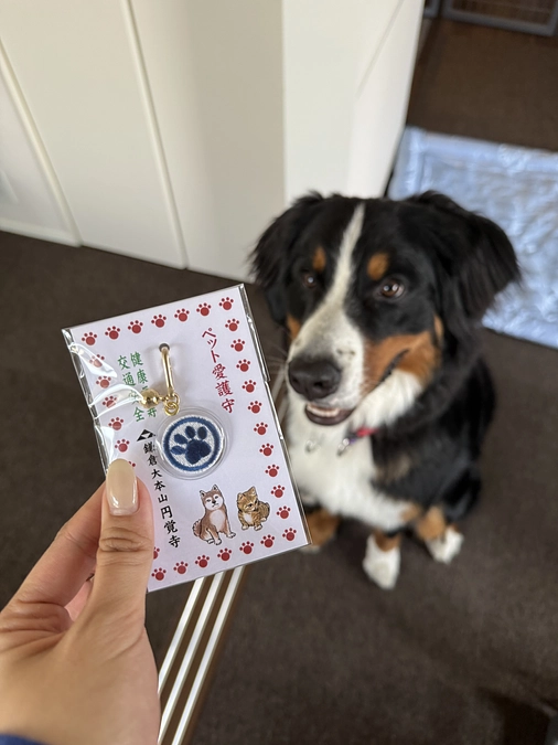 目標金額達成のお礼です