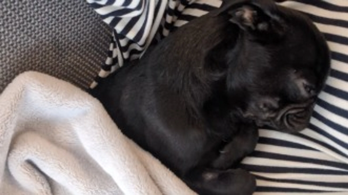 【退院報告】金曜日夕方お迎え行ってきました