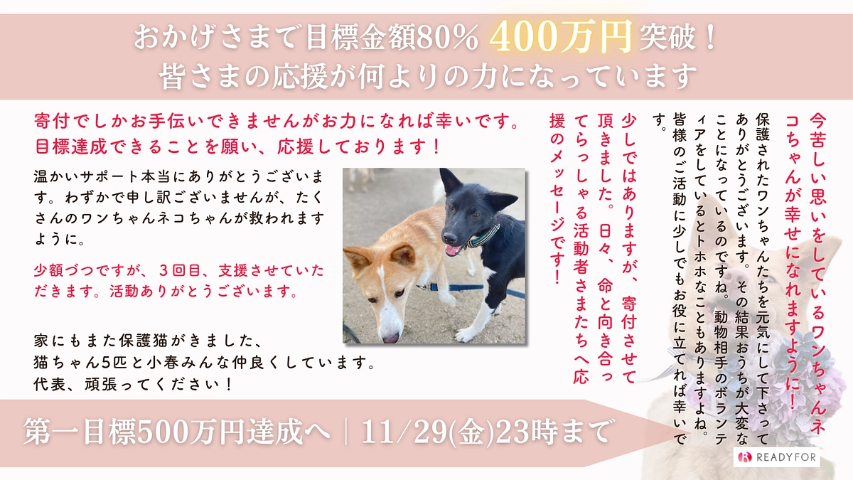 【80%突破】11/29(金)で終了です｜皆様の応援が何よりの力になっています！