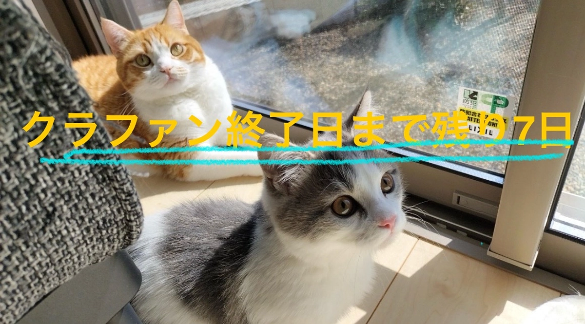 残り7日‼️