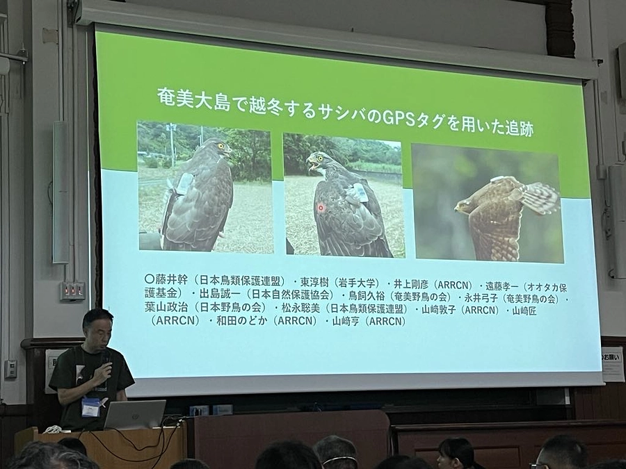 日本鳥学会大会で発表してきました