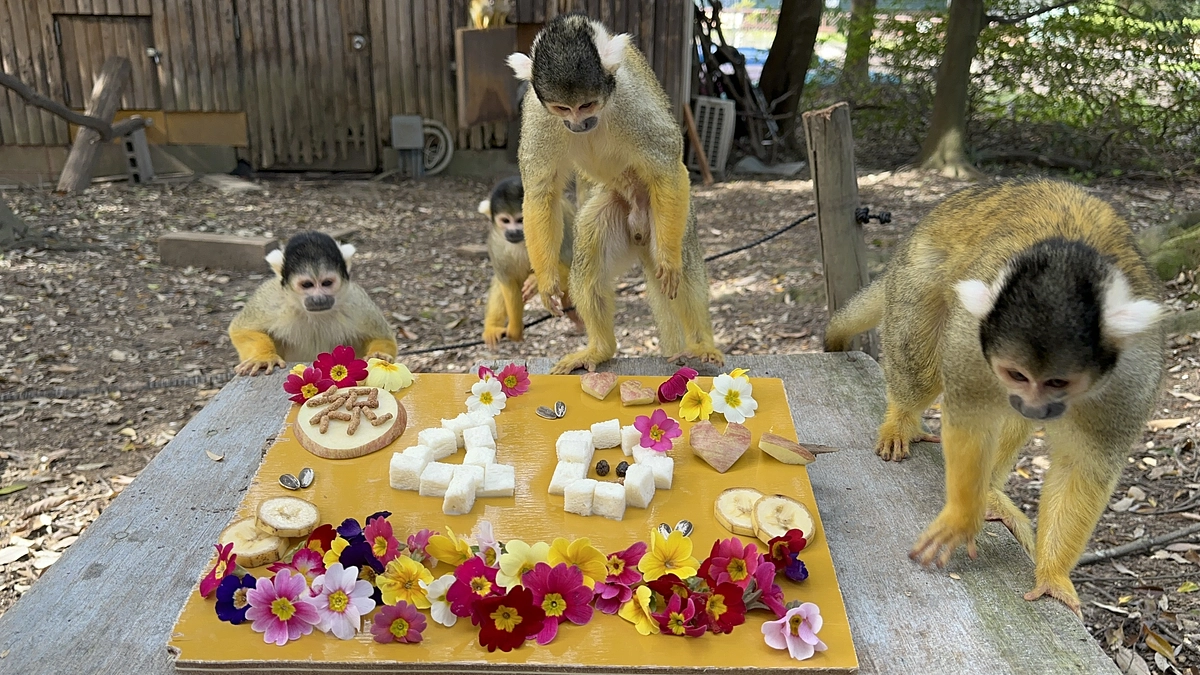 【クラファン活動報告⑩】みなさまの想いと共に。40%達成！