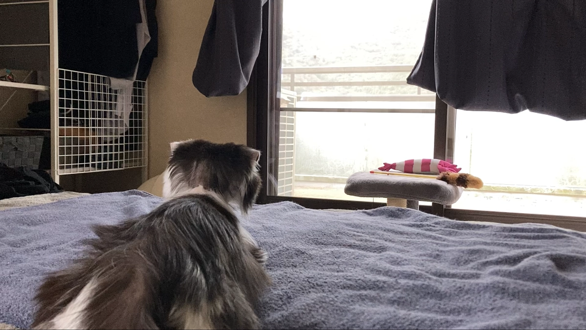 10/27のテオくんの様子