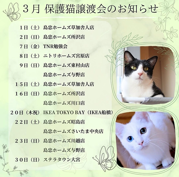 クラウドファンディング本日最終日になります。