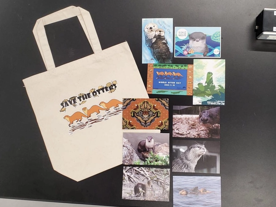 5月25日　よこはま動物園の世界カワウソの日イベントに参加します