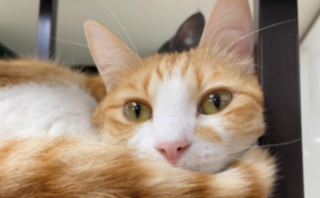 【リターンはご不要な方へ】1万円応援コース