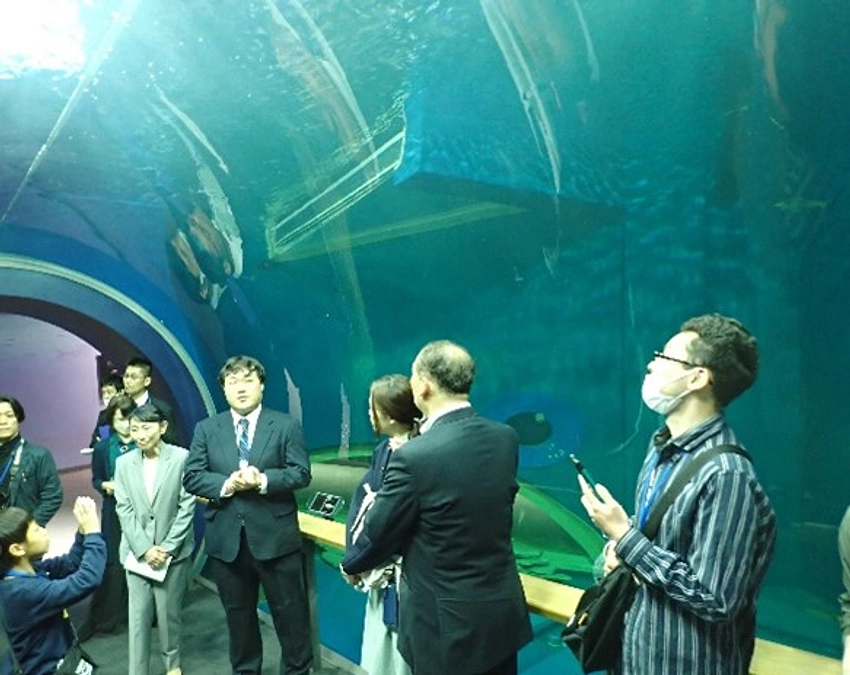 【リターン紹介②】新水槽完成お披露目内覧会