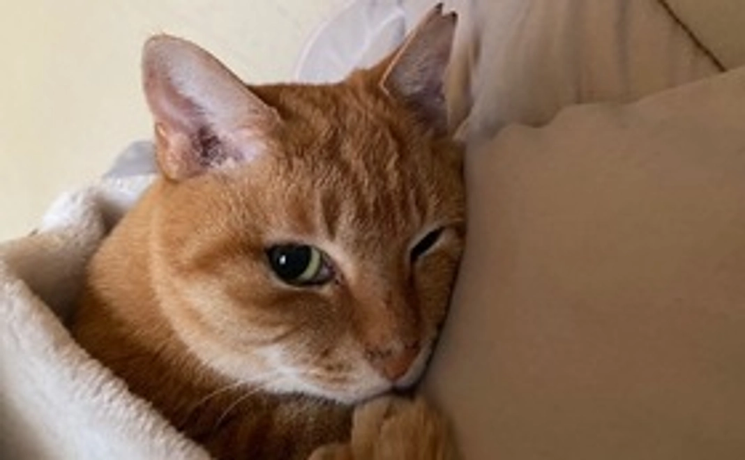 心を込めた感謝のメール2