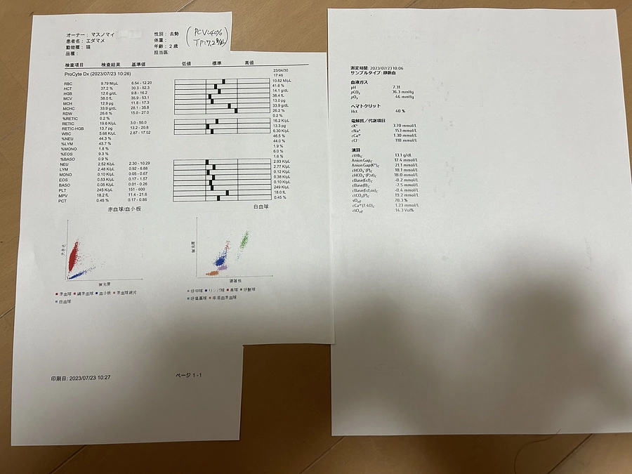 ＊定期検診の検査結果＊