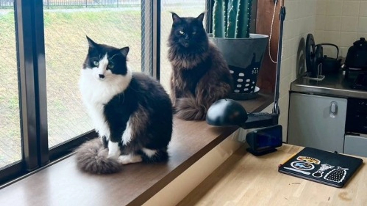 【ご支援総額140万円まであと18,000円です！】里親様から幸せ報告をいただきました💐