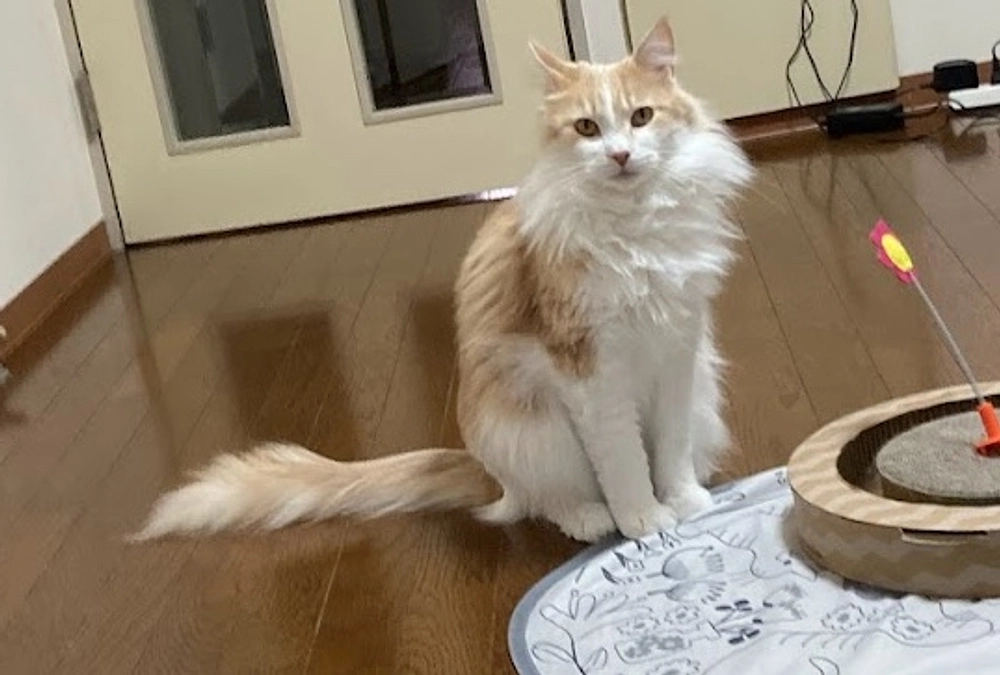 1/26経過観察72日目