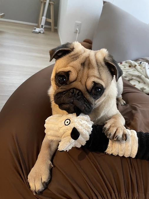 代理申請のご報告