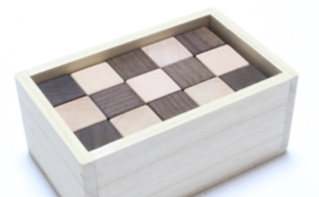 ２種木知育ブロック