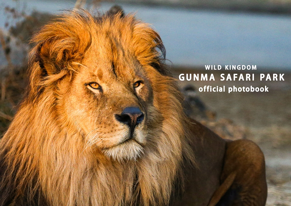 2月18日(日) 進捗報告・返礼品再紹介～群馬サファリパークオフィシャルフォトブック～