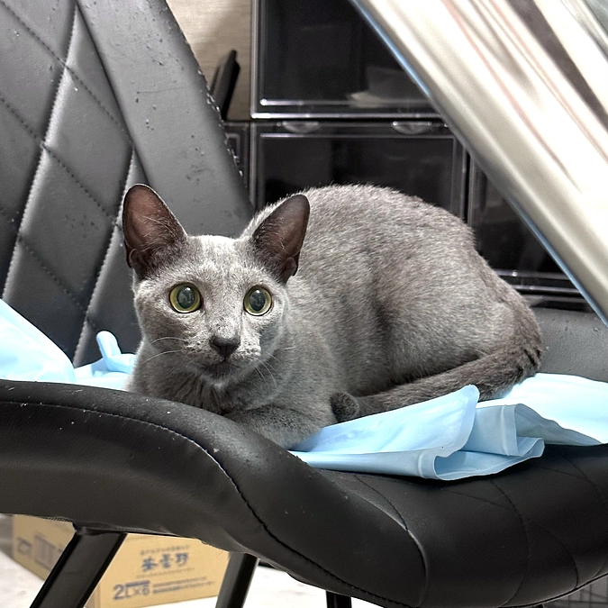 【残り2️⃣日💦】投薬80日目