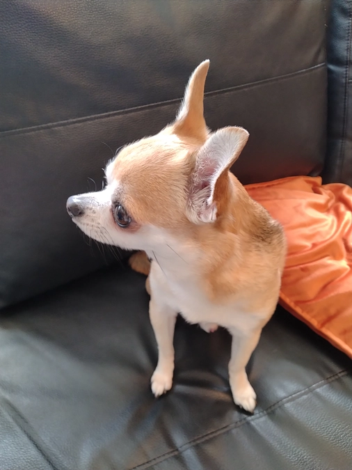 3/12  血液検査をしました