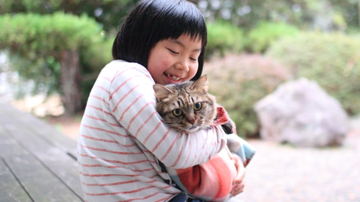 5000匹が殺処分される山口県で猫の命をつなぐ旅館をつくりたい！
